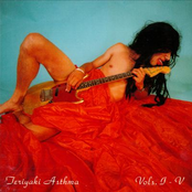 Teriyaki Asthma, Vols. 1-5