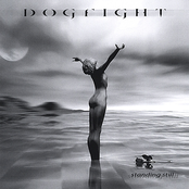Fake This by Dogfight