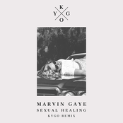 Sexual Healing Album Picture