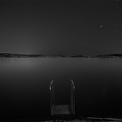 Wolven (A Modern Interpretation)