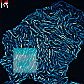 What if the dead dream