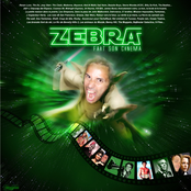 Zebra fait son cinema