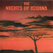 Yes by The Nights Of Iguana