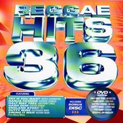 Reggae Hits 36