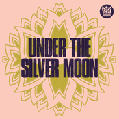 Under the Silver Moon