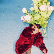 nie ma już dzikich róż