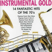 Instrumental Gold: The 70's