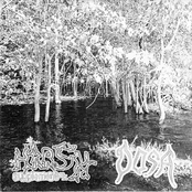 harsh supplement / dosa