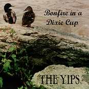 Bonfire in a Dixie Cup