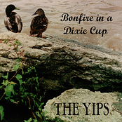 Bonfire In A Dixie Cup by The Yips