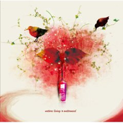 When the Light Goes Out