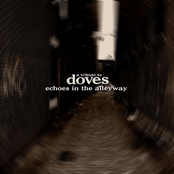 Springtide: Echoes In The Alleyway: A Tribute to Doves [Disc 1]