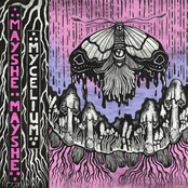 Mycelium