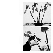 Our Candor of Words and Heart