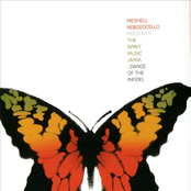 Meshell Ndegeocello: The Spirit Music Jamia: Dance of the Infidel