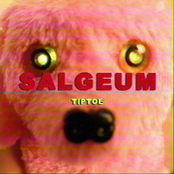 SALGEUM - Single