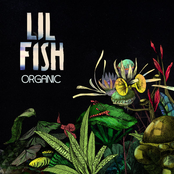 Lil Fish: Organic