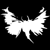 Les contemplations (2008)