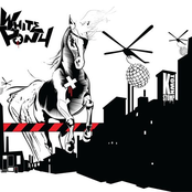 White Pony: K Town Stomp