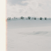 Shiro (margin: not nothing:)