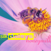 honeymilk
