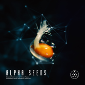 Alpha Seeds