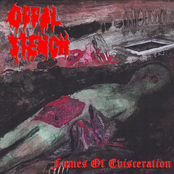 Fumes Of Evisceration [Explicit]