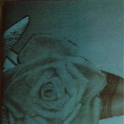 Sleep Sessions / Rez Epo C10