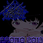 Promo 2013