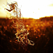 Endless Intermission