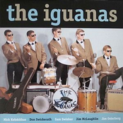 Por Mi Camino by The Iguanas