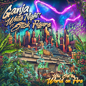 Who Set the World on Fire