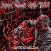 Excruciating Mutilations (Split)