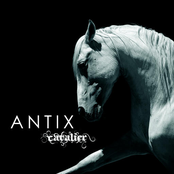 Cavalier by Antix