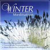 Winter Meditation