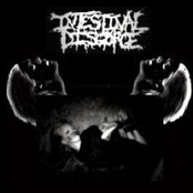 Masturbate by Intestinal Disgorge