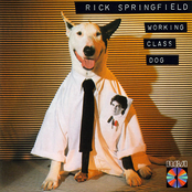 I've Done Everything For You by Rick Springfield