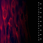 Within
