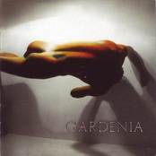 Incydent by Gardenia