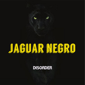 Jaguar Negro
