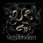 Entrapment by Meshuggah