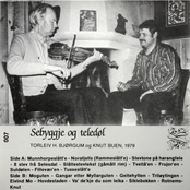 Sebyggje og teledøl