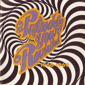 The Psychedelic Years Revisited