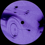 DATSKO: The Color Violet