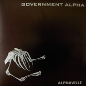 Disproportion by Government Alpha