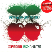 Pacha Ibiza Winter