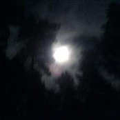 Blackened Death Metal Anthology Part I