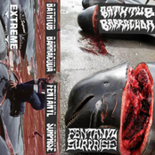 SPLIT WITH BATHTUB BARRACUDA