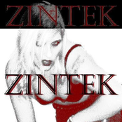 Zintek