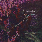 Salivary Stones (Digital)